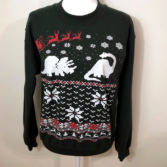 Dinosaur holiday sweatshirt - Picture 1 of 5
